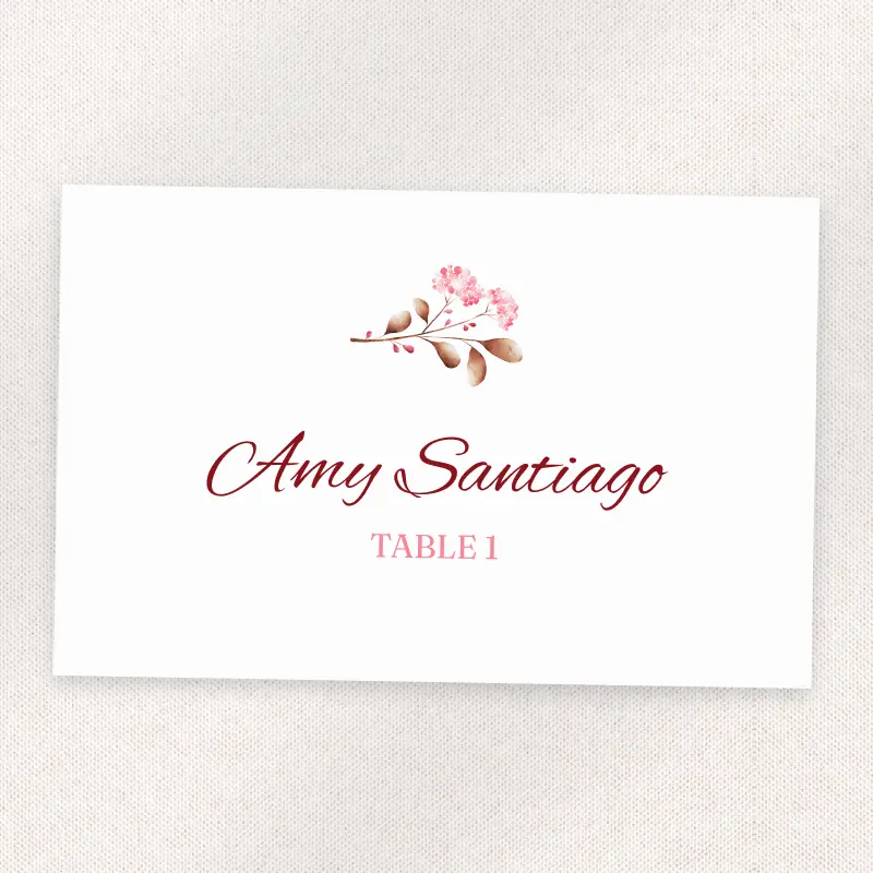 Scarlet Signature Script – front