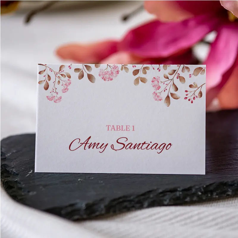 Cherry Blossom Dreams – back